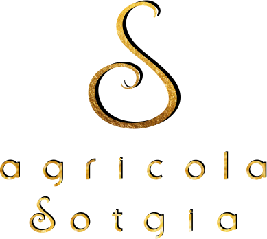 Agricola Sotgia